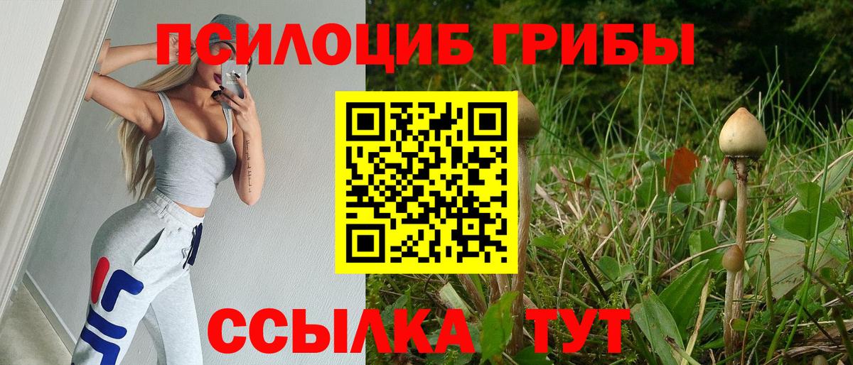 Псилоцибиновые грибы ЛСД Иркутск